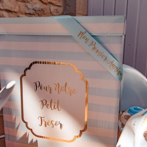 79192,ambiance,52,Baby Rose et Bleu,Festif,2023,79192-A (2).jpg,79192-A (2).jpg